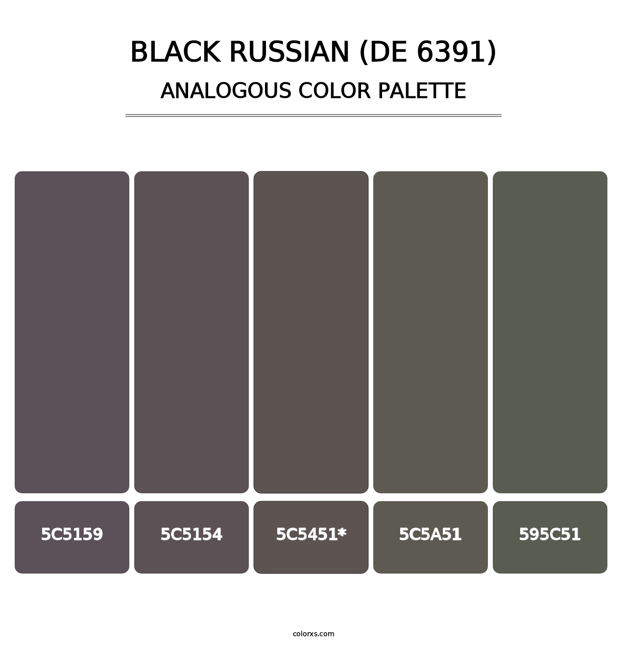 Black Russian (DE 6391) - Analogous Color Palette