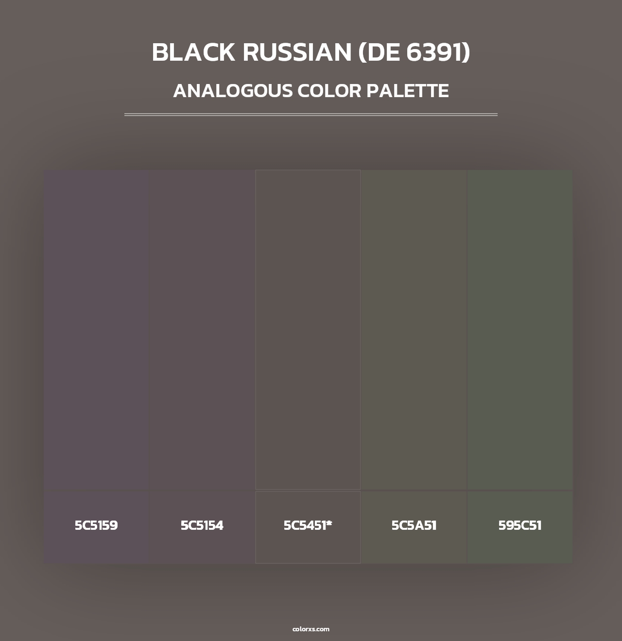 Black Russian (DE 6391) - Analogous Color Palette