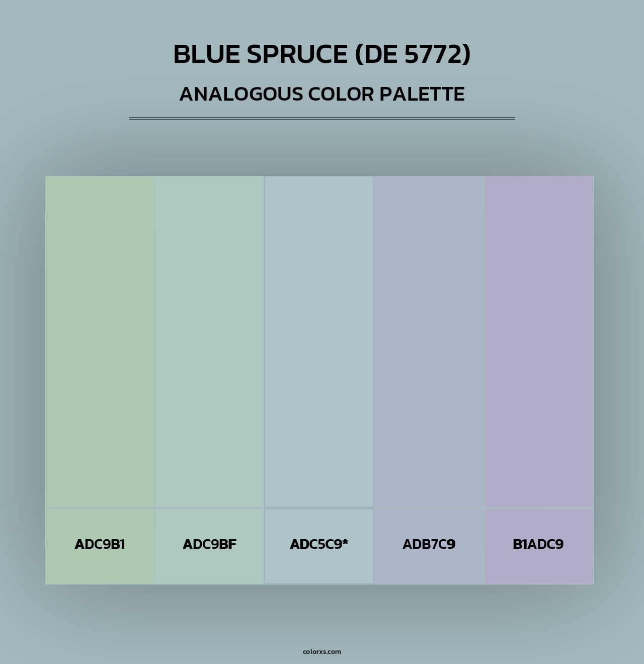 Blue Spruce (DE 5772) - Analogous Color Palette