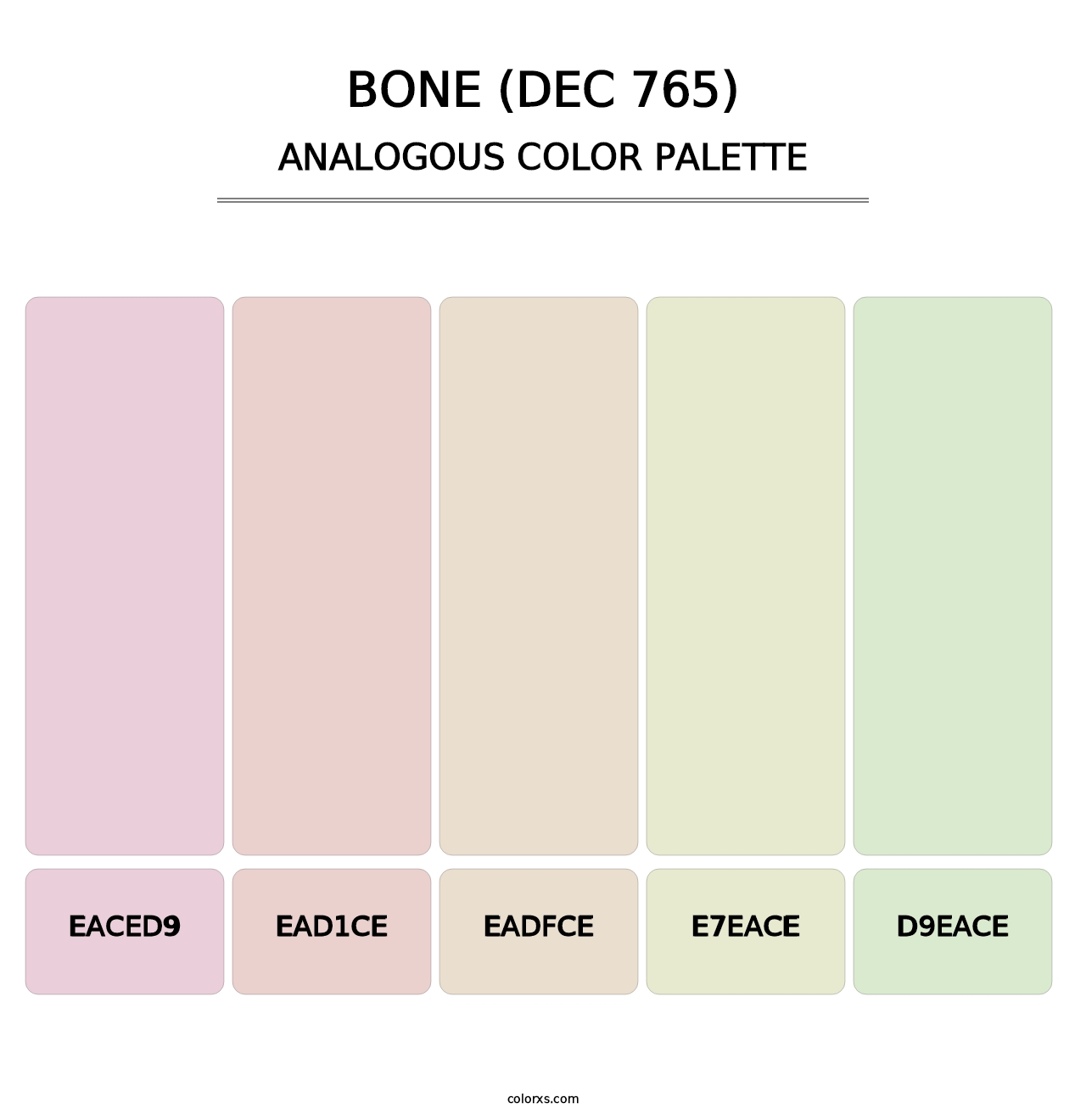 Bone (DEC 765) - Analogous Color Palette