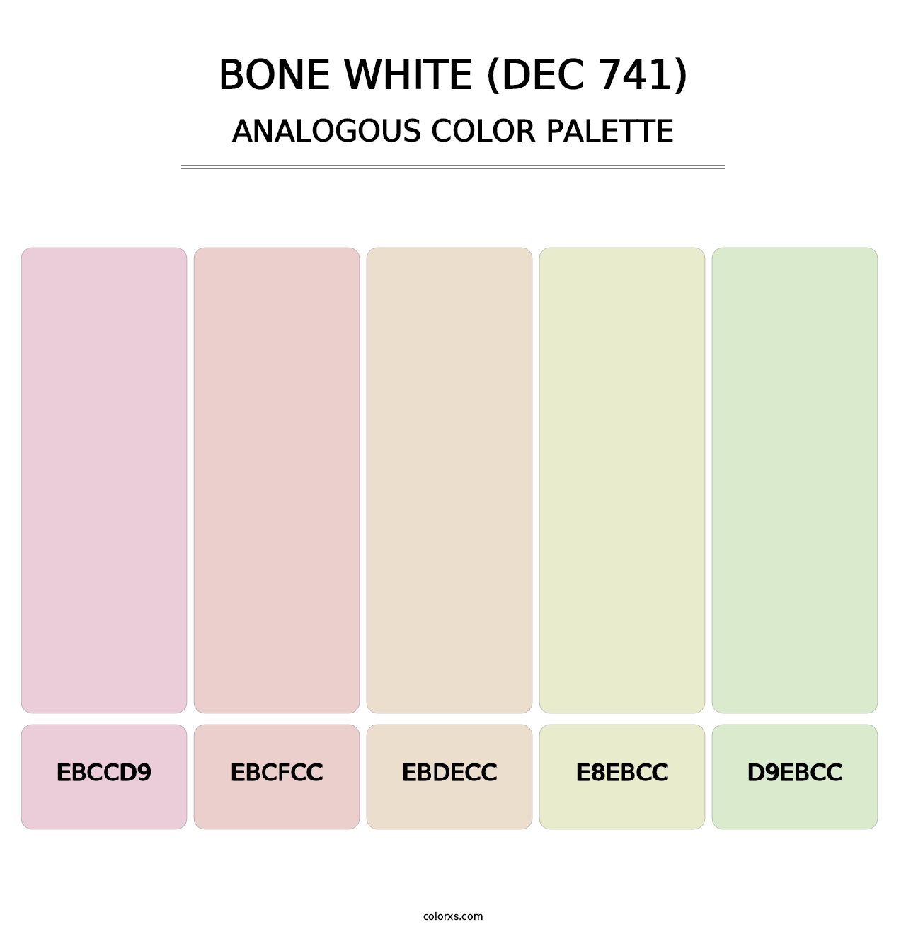 Bone White (DEC 741) - Analogous Color Palette