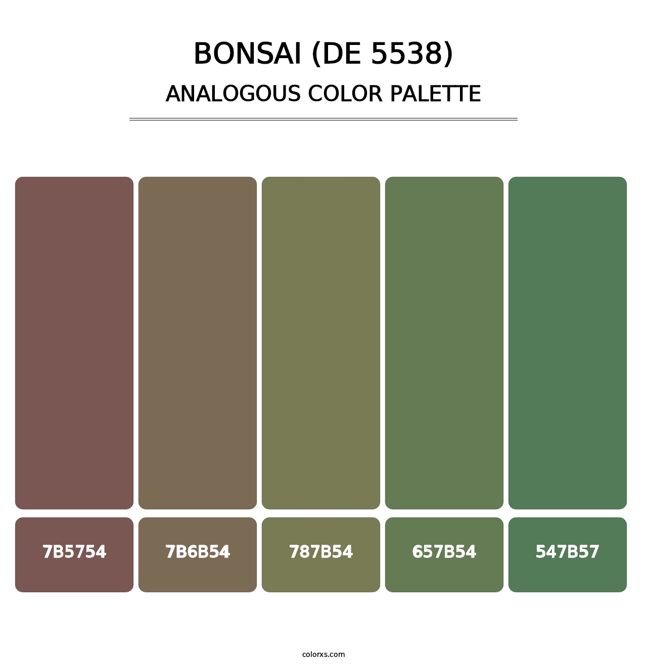 Bonsai (DE 5538) - Analogous Color Palette