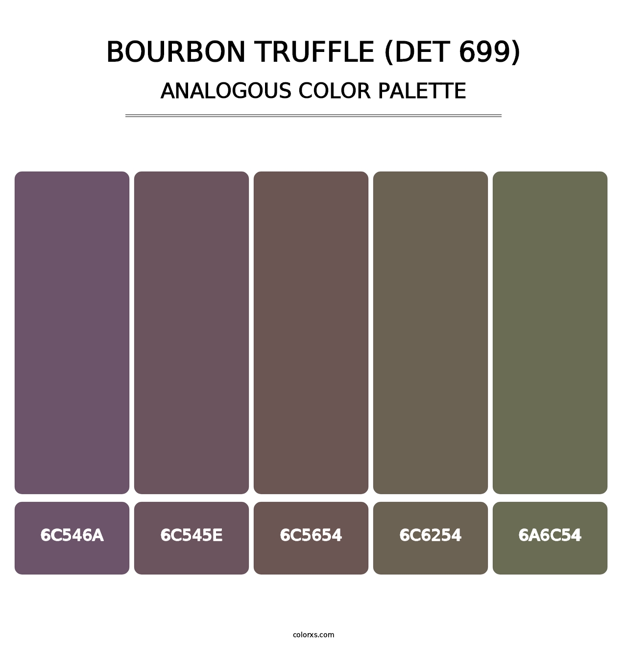 Bourbon Truffle (DET 699) - Analogous Color Palette