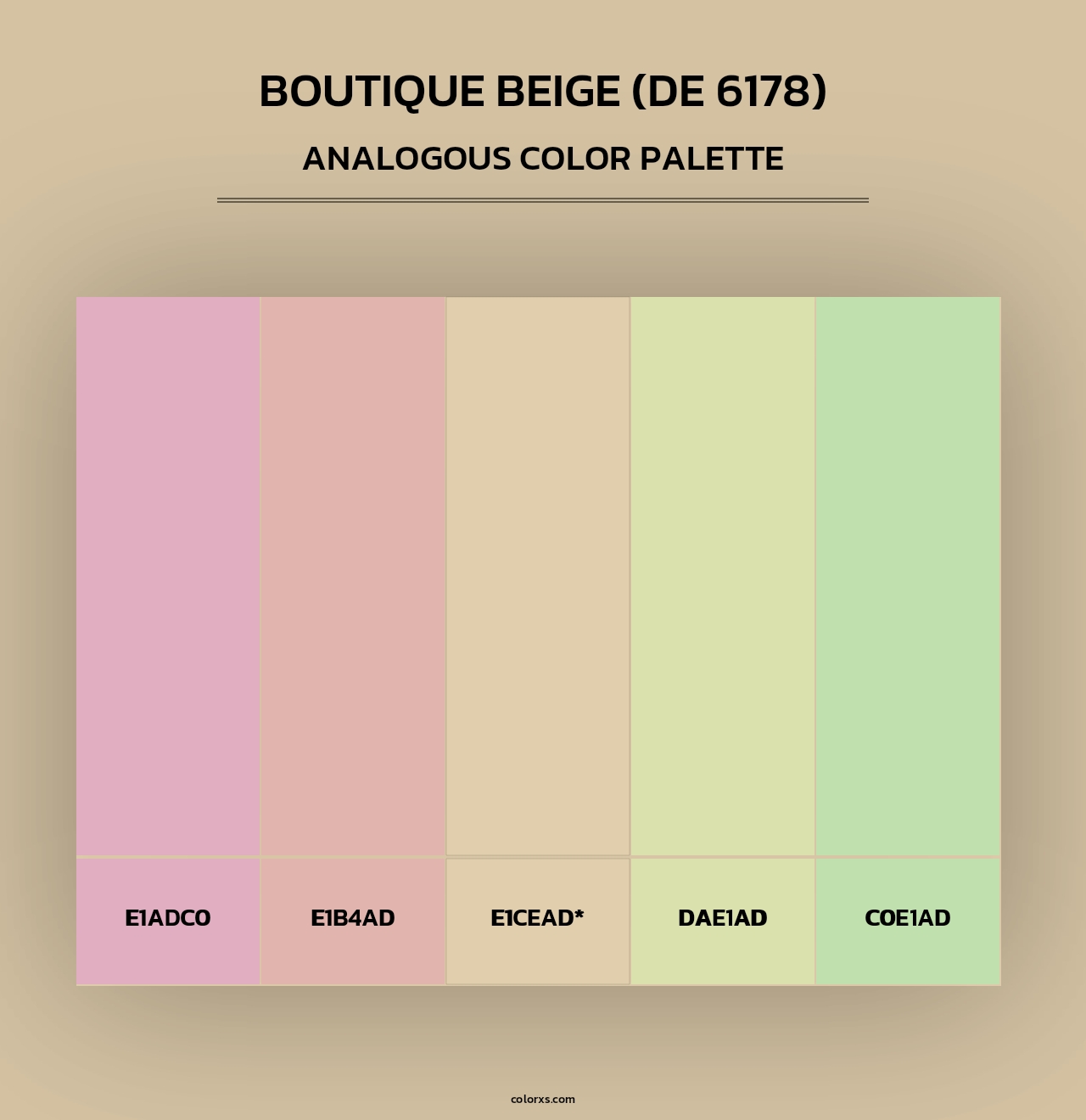 Boutique Beige (DE 6178) - Analogous Color Palette