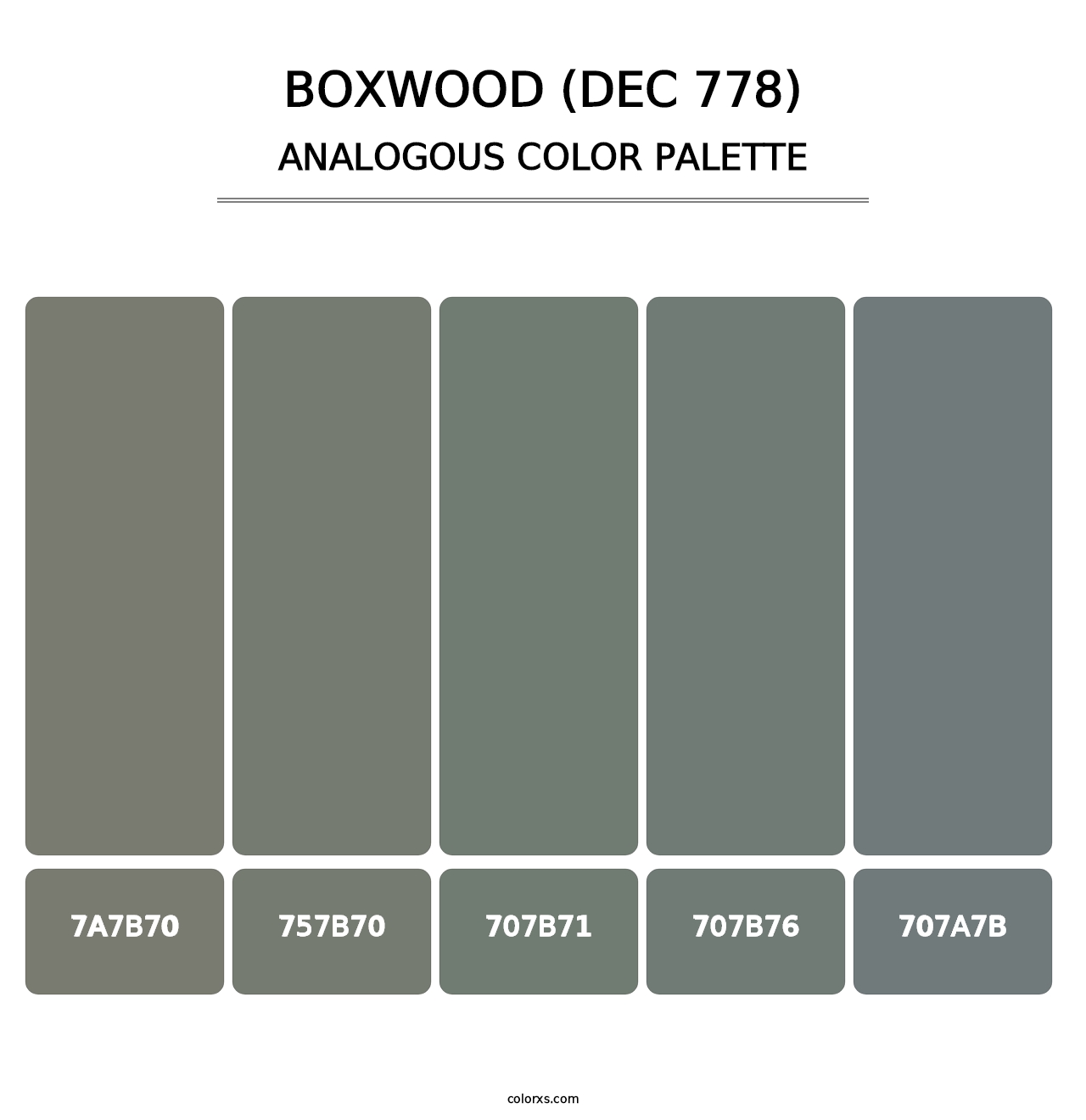 Boxwood (DEC 778) - Analogous Color Palette