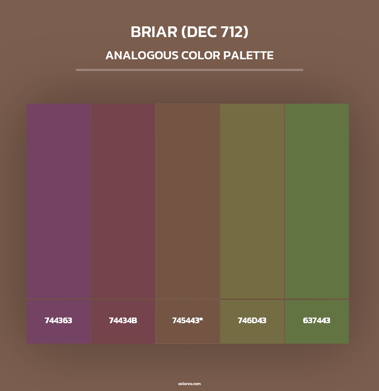 Briar (DEC 712) - Analogous Color Palette