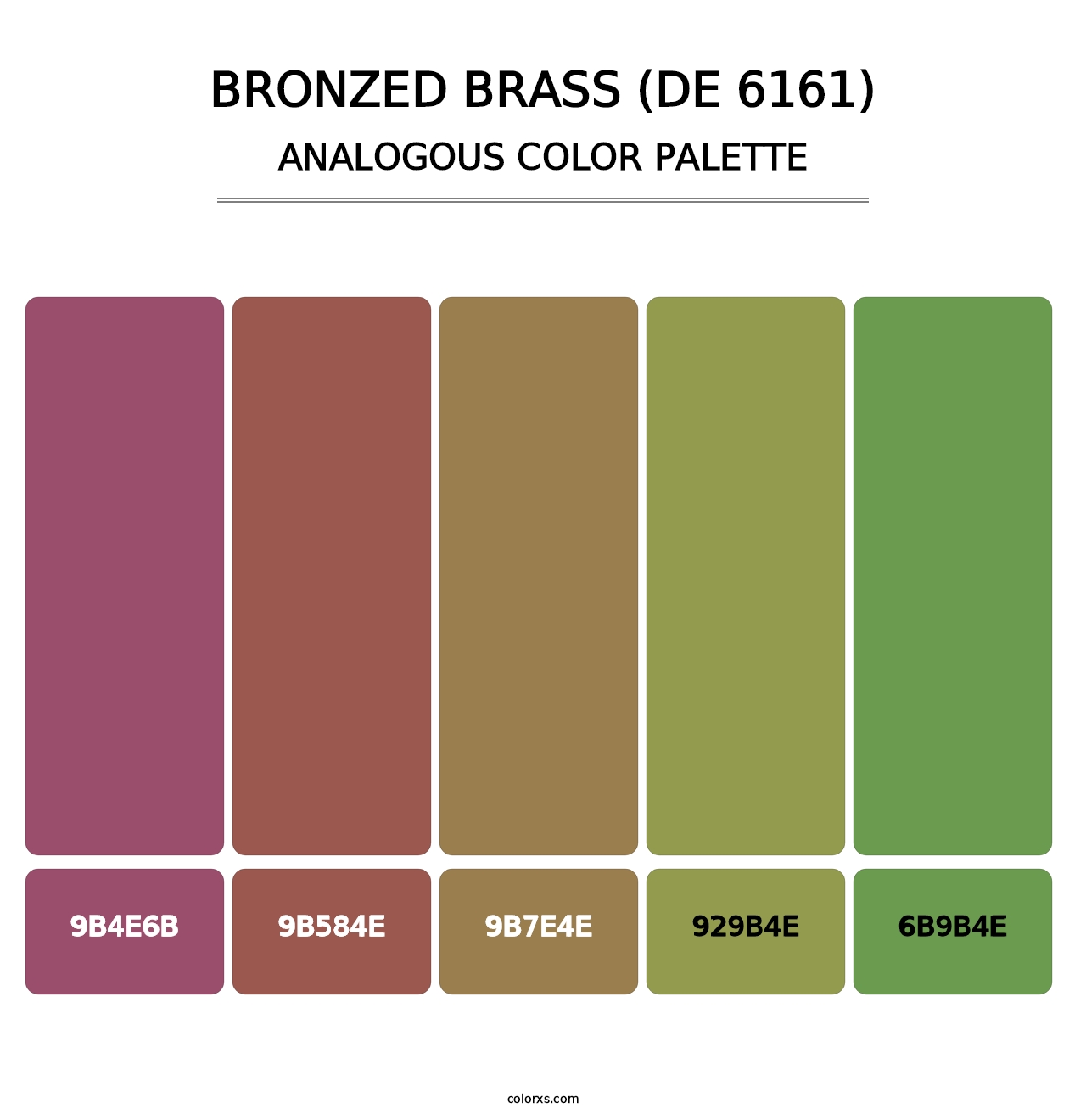 Bronzed Brass (DE 6161) - Analogous Color Palette