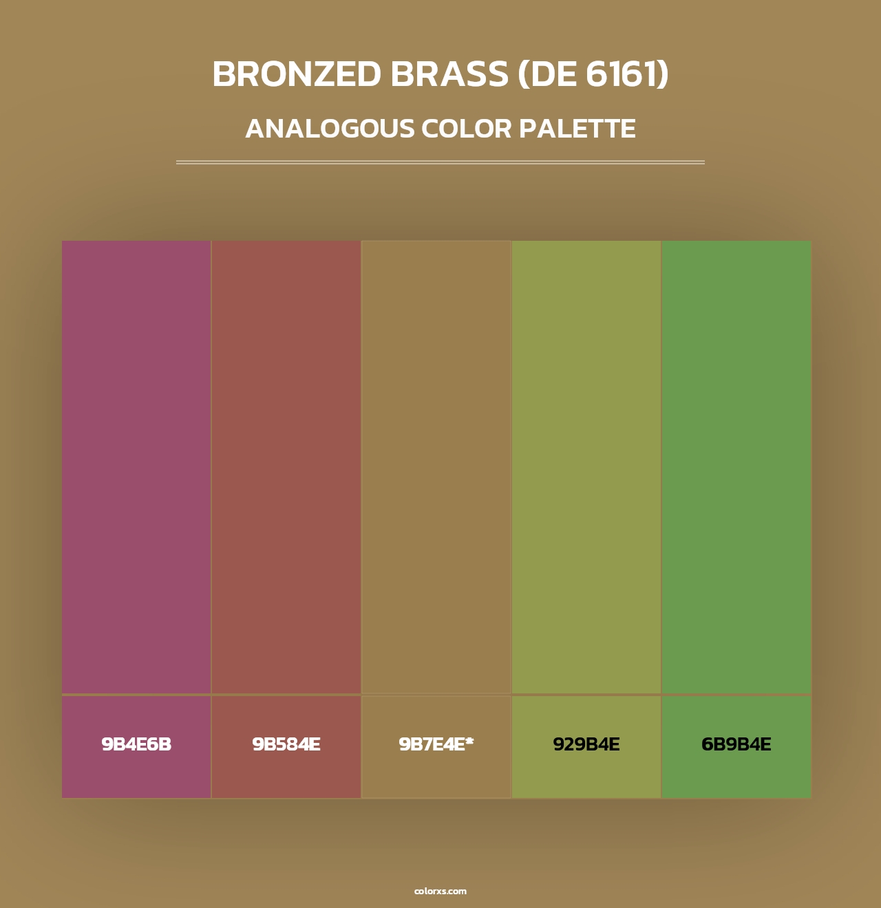 Bronzed Brass (DE 6161) - Analogous Color Palette