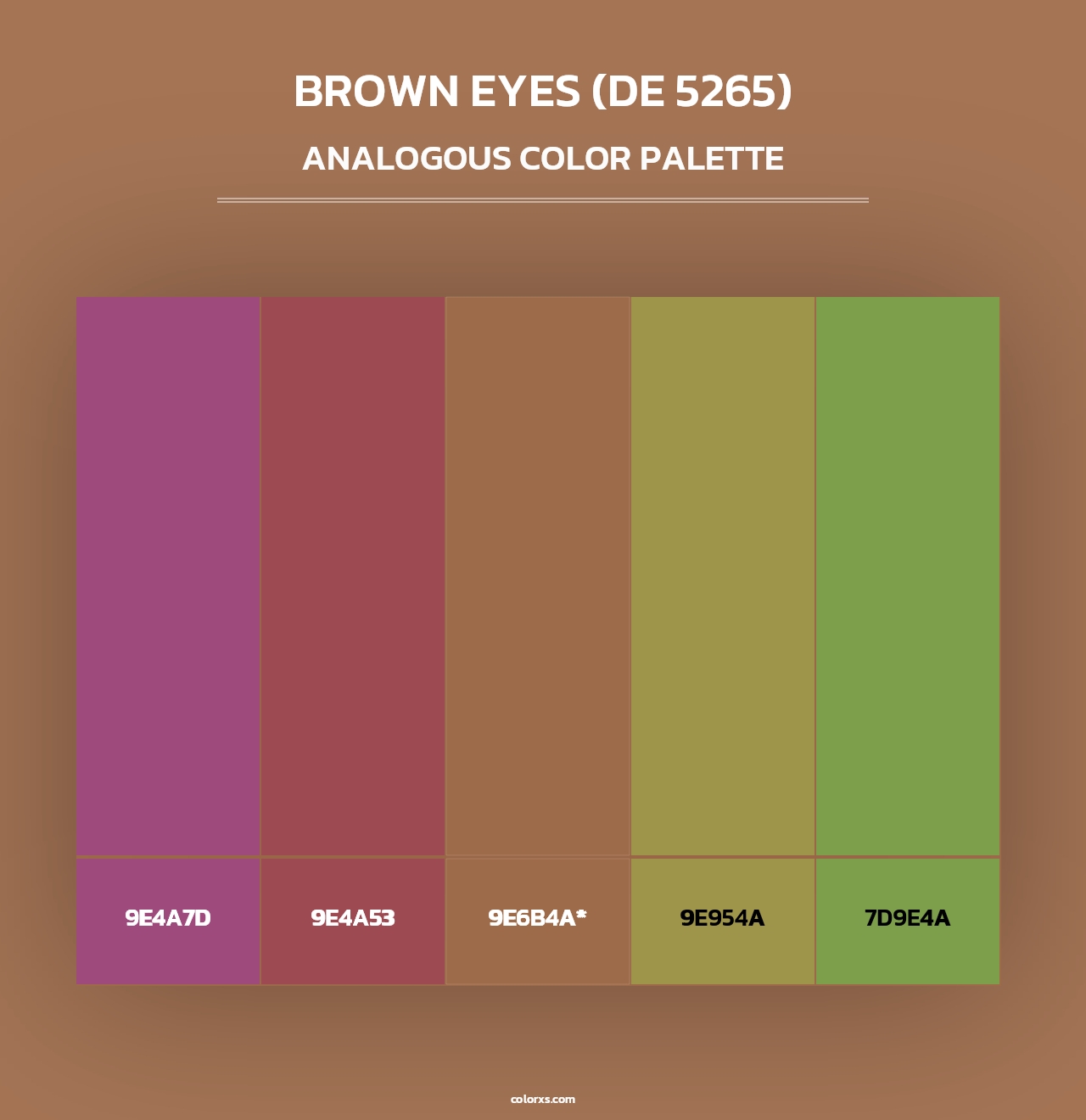 Brown Eyes (DE 5265) - Analogous Color Palette