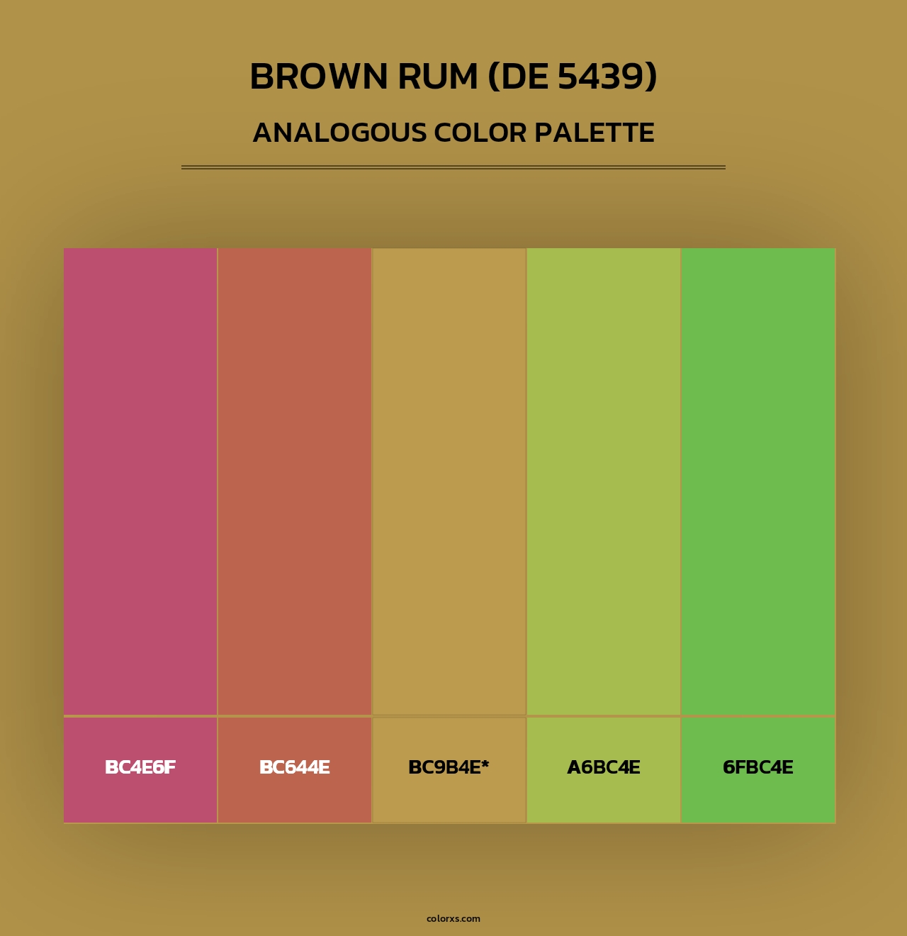 Brown Rum (DE 5439) - Analogous Color Palette