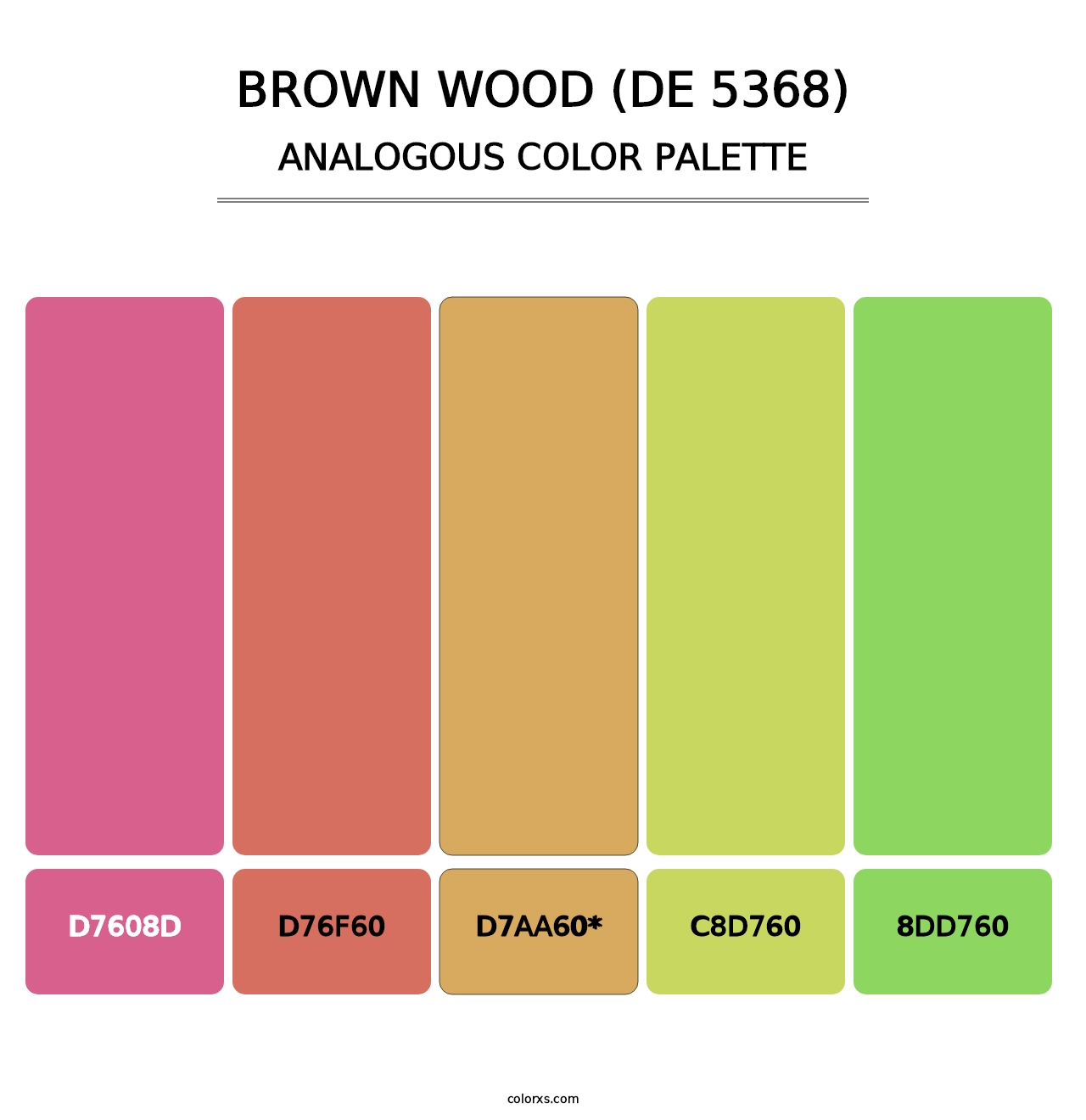 Brown Wood (DE 5368) - Analogous Color Palette
