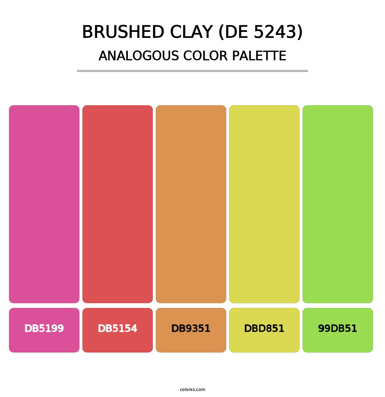 Brushed Clay (DE 5243) - Analogous Color Palette