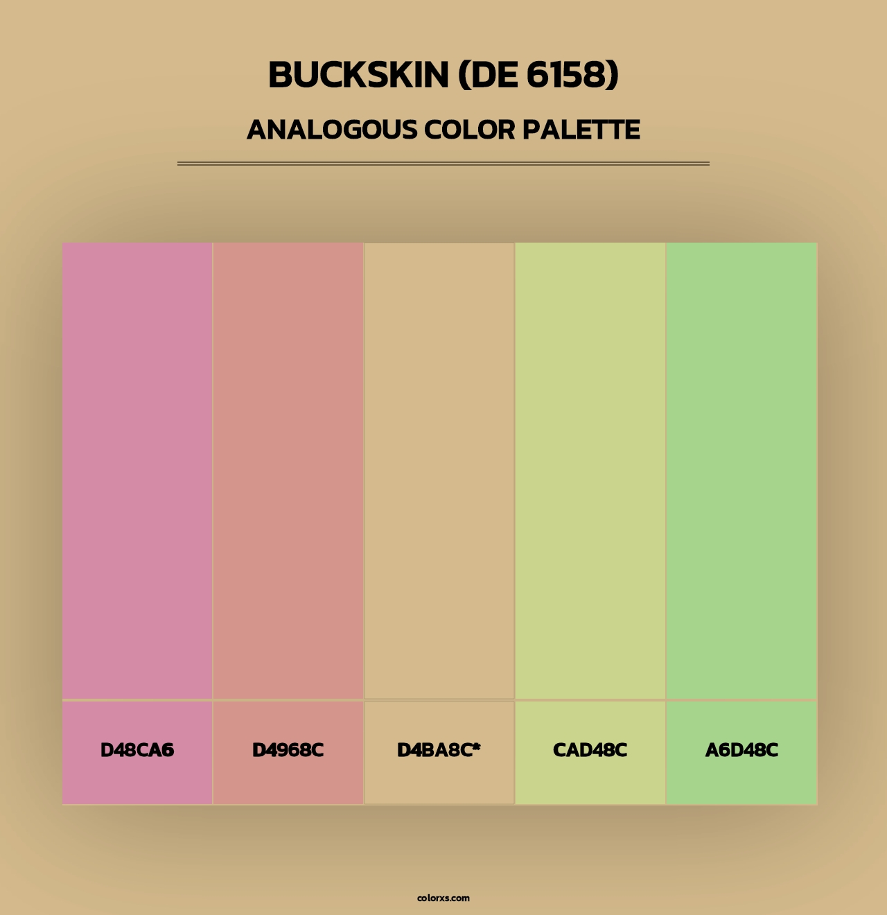 Buckskin (DE 6158) - Analogous Color Palette