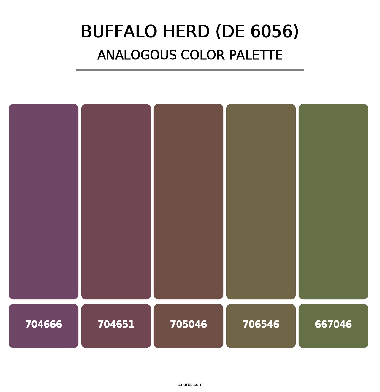 Buffalo Herd (DE 6056) - Analogous Color Palette