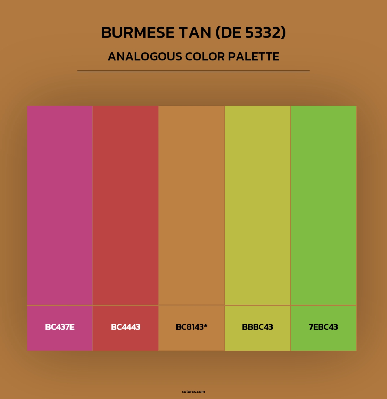 Burmese Tan (DE 5332) - Analogous Color Palette