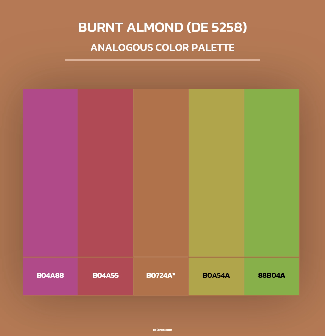 Burnt Almond (DE 5258) - Analogous Color Palette