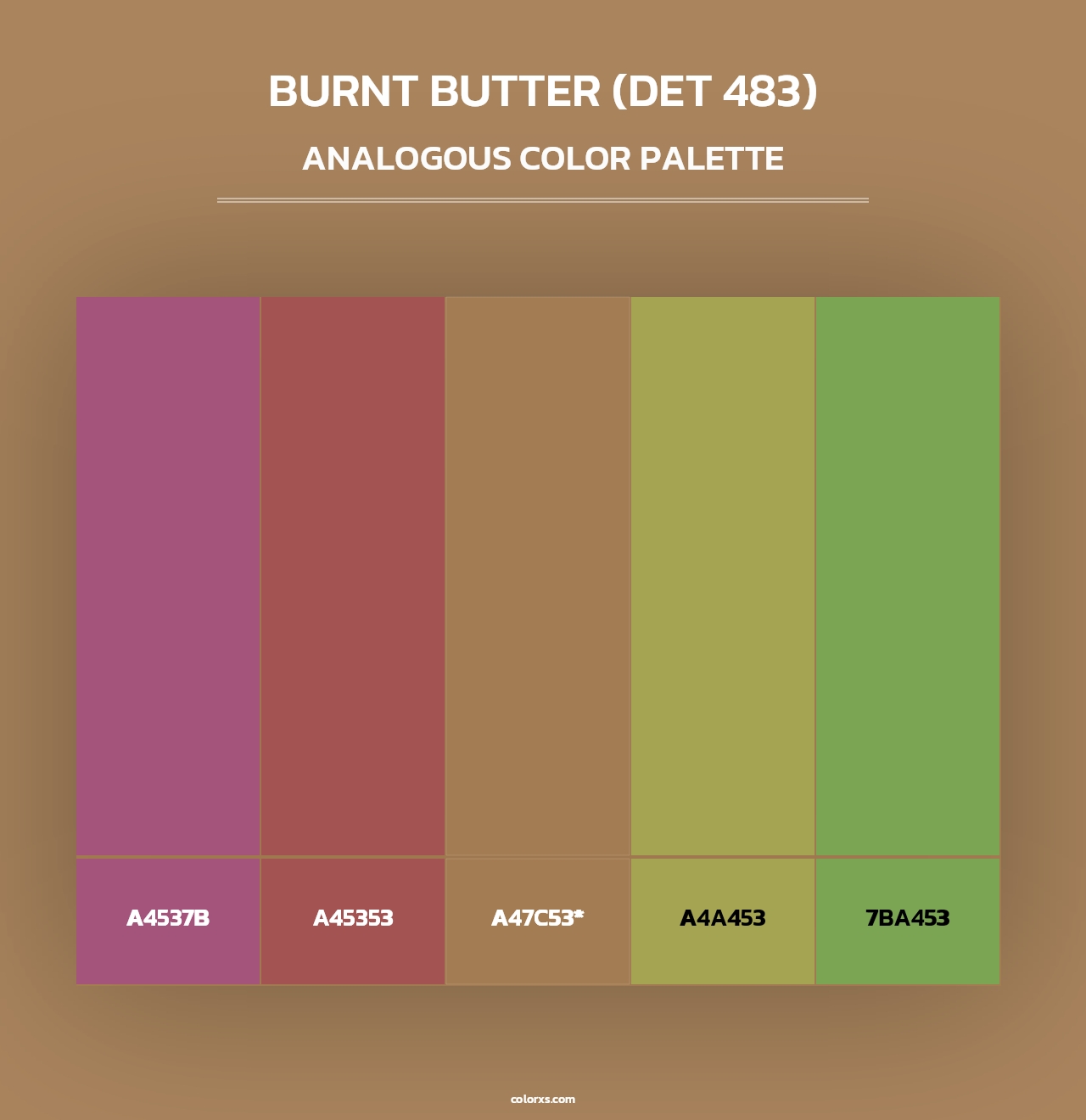 Burnt Butter (DET 483) - Analogous Color Palette