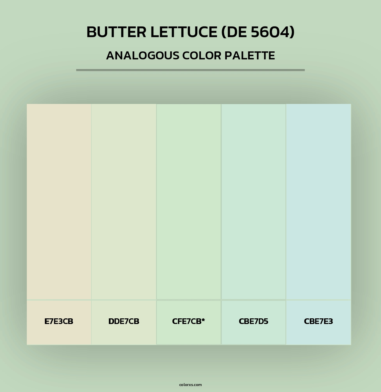Butter Lettuce (DE 5604) - Analogous Color Palette