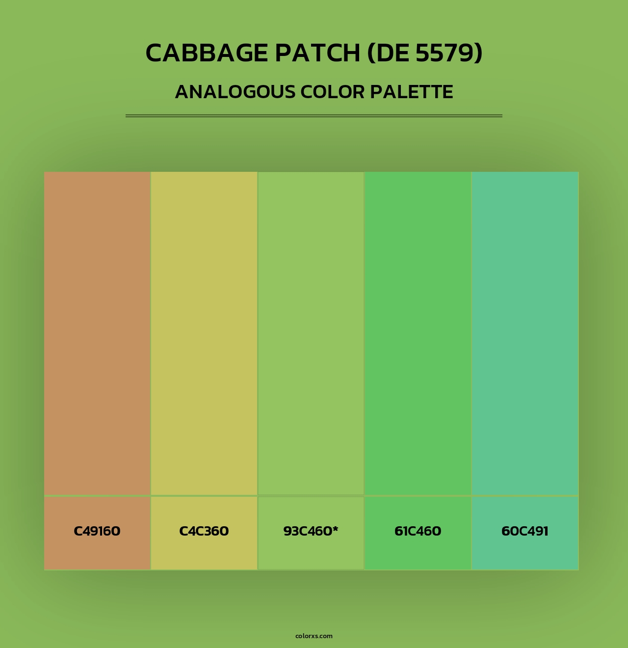 Cabbage Patch (DE 5579) - Analogous Color Palette