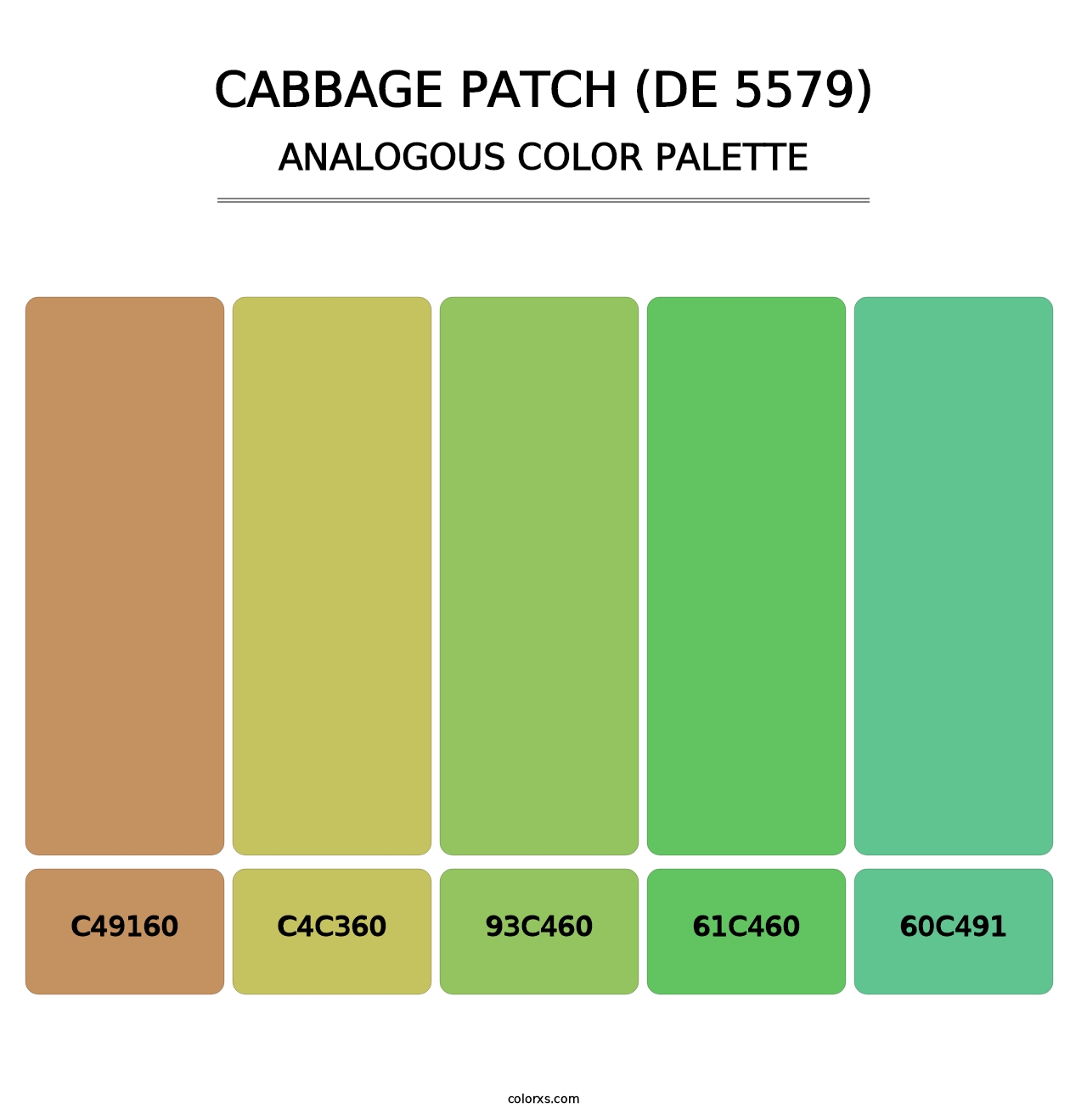 Cabbage Patch (DE 5579) - Analogous Color Palette