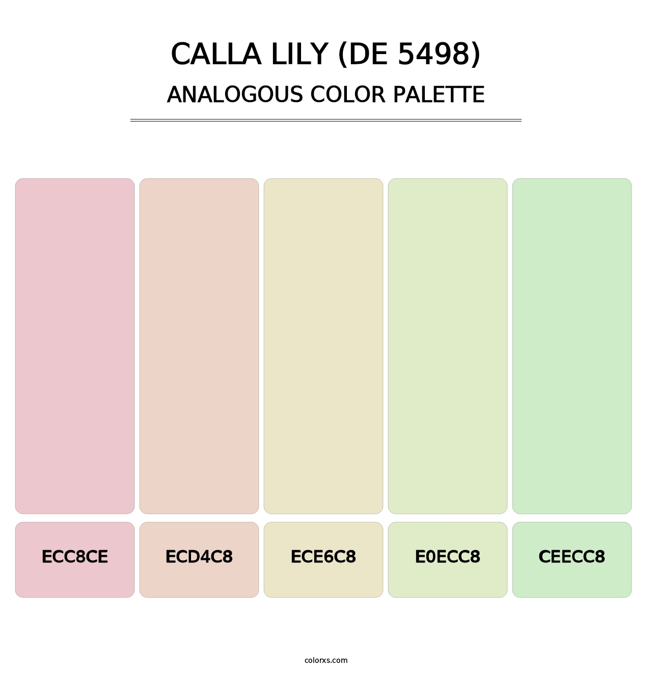 Calla Lily (DE 5498) - Analogous Color Palette
