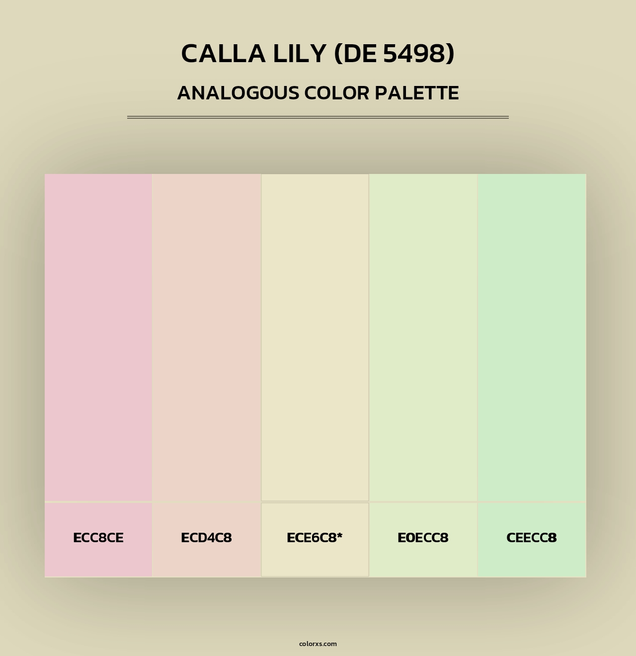 Calla Lily (DE 5498) - Analogous Color Palette