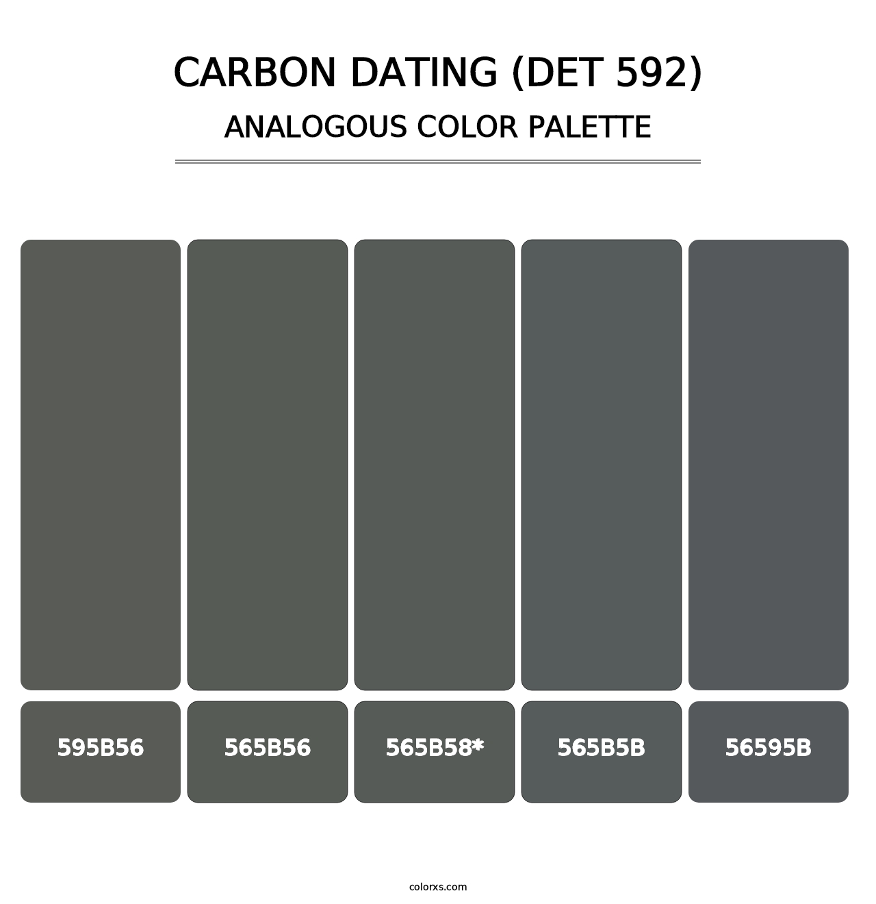 Carbon Dating (DET 592) - Analogous Color Palette