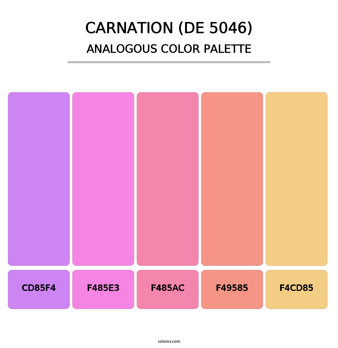 Carnation (DE 5046) - Analogous Color Palette