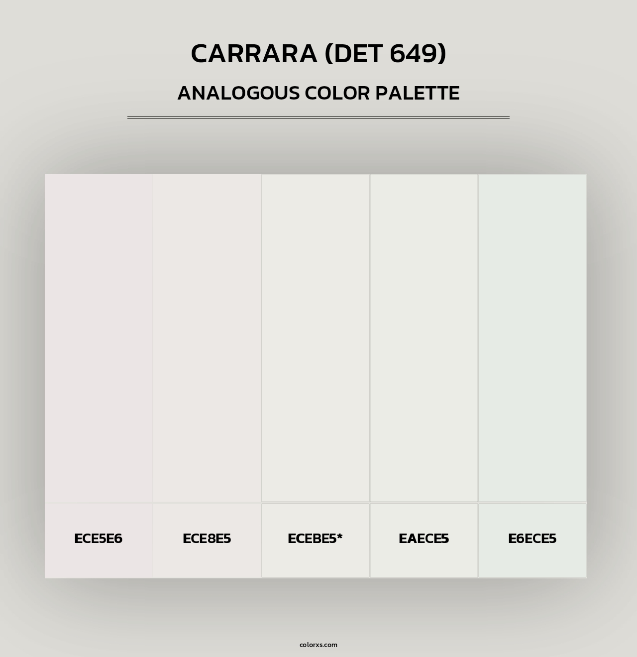 Carrara (DET 649) - Analogous Color Palette