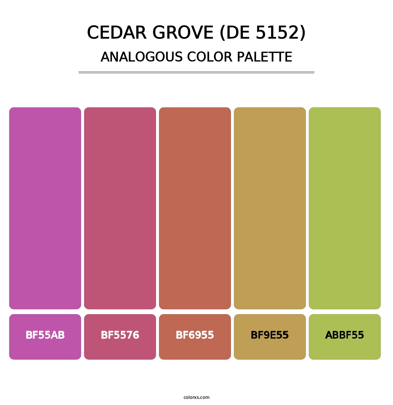Cedar Grove (DE 5152) - Analogous Color Palette