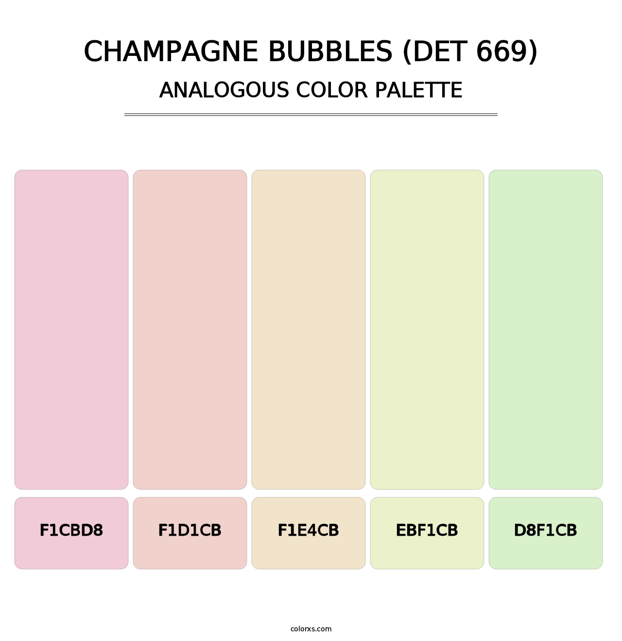 Champagne Bubbles (DET 669) - Analogous Color Palette