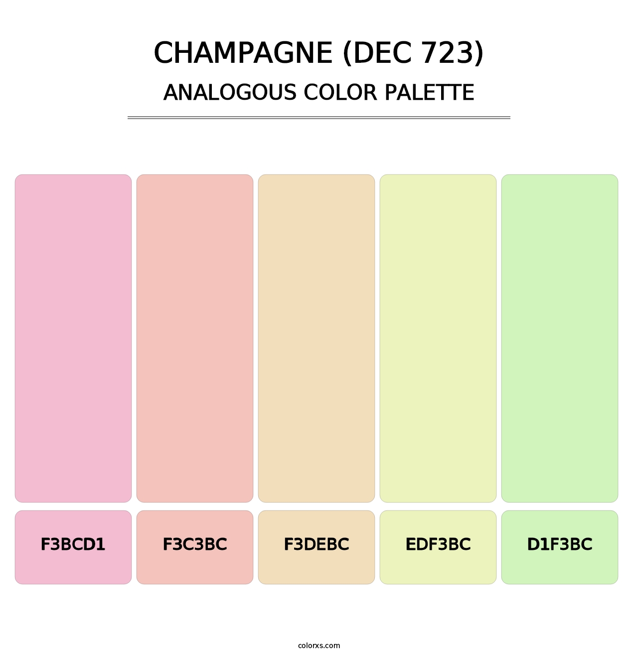Champagne (DEC 723) - Analogous Color Palette
