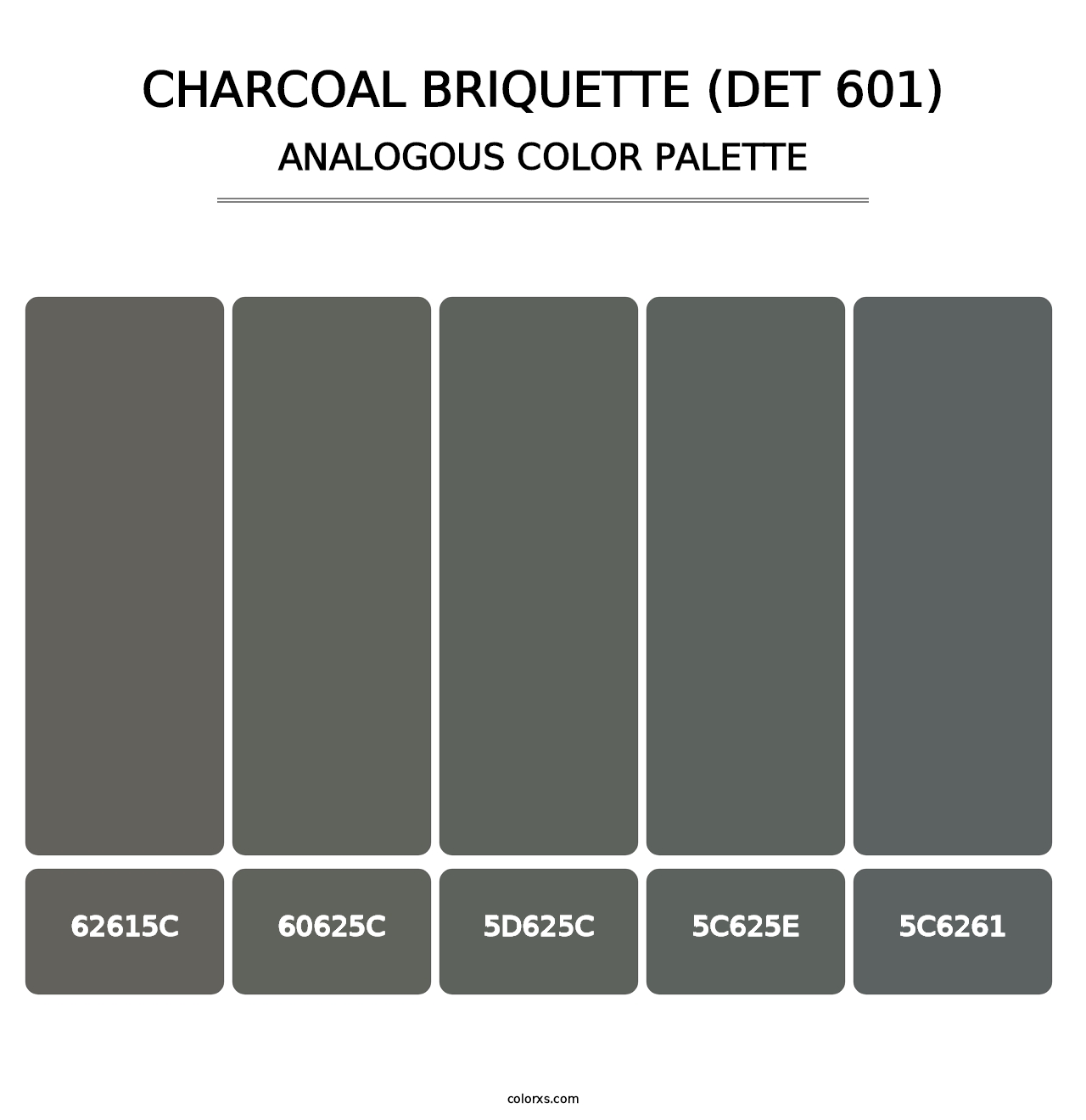 Charcoal Briquette (DET 601) - Analogous Color Palette