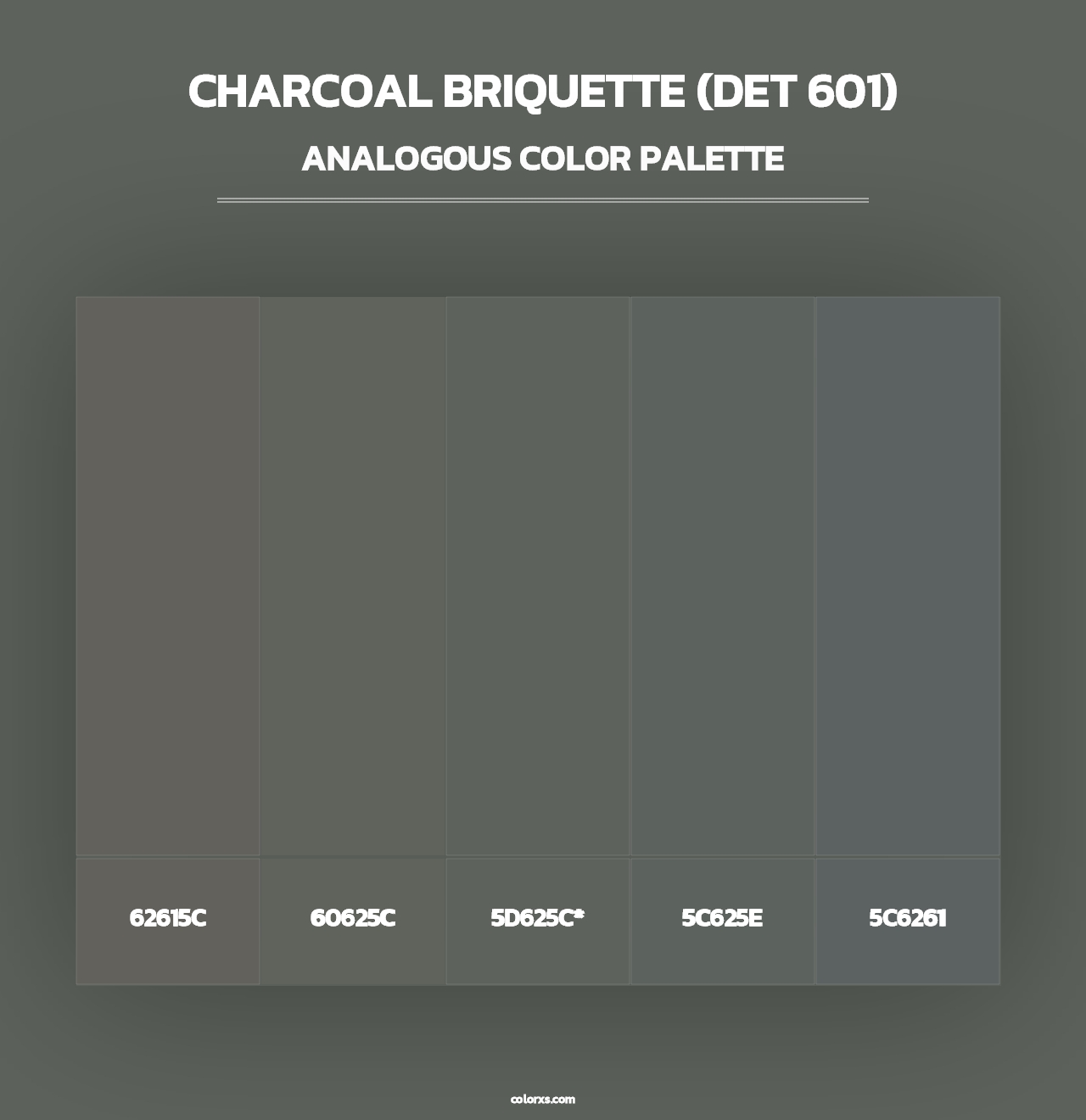 Charcoal Briquette (DET 601) - Analogous Color Palette