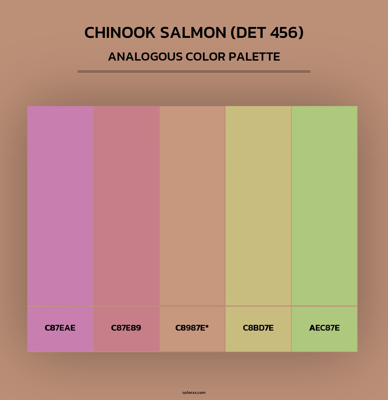 Chinook Salmon (DET 456) - Analogous Color Palette