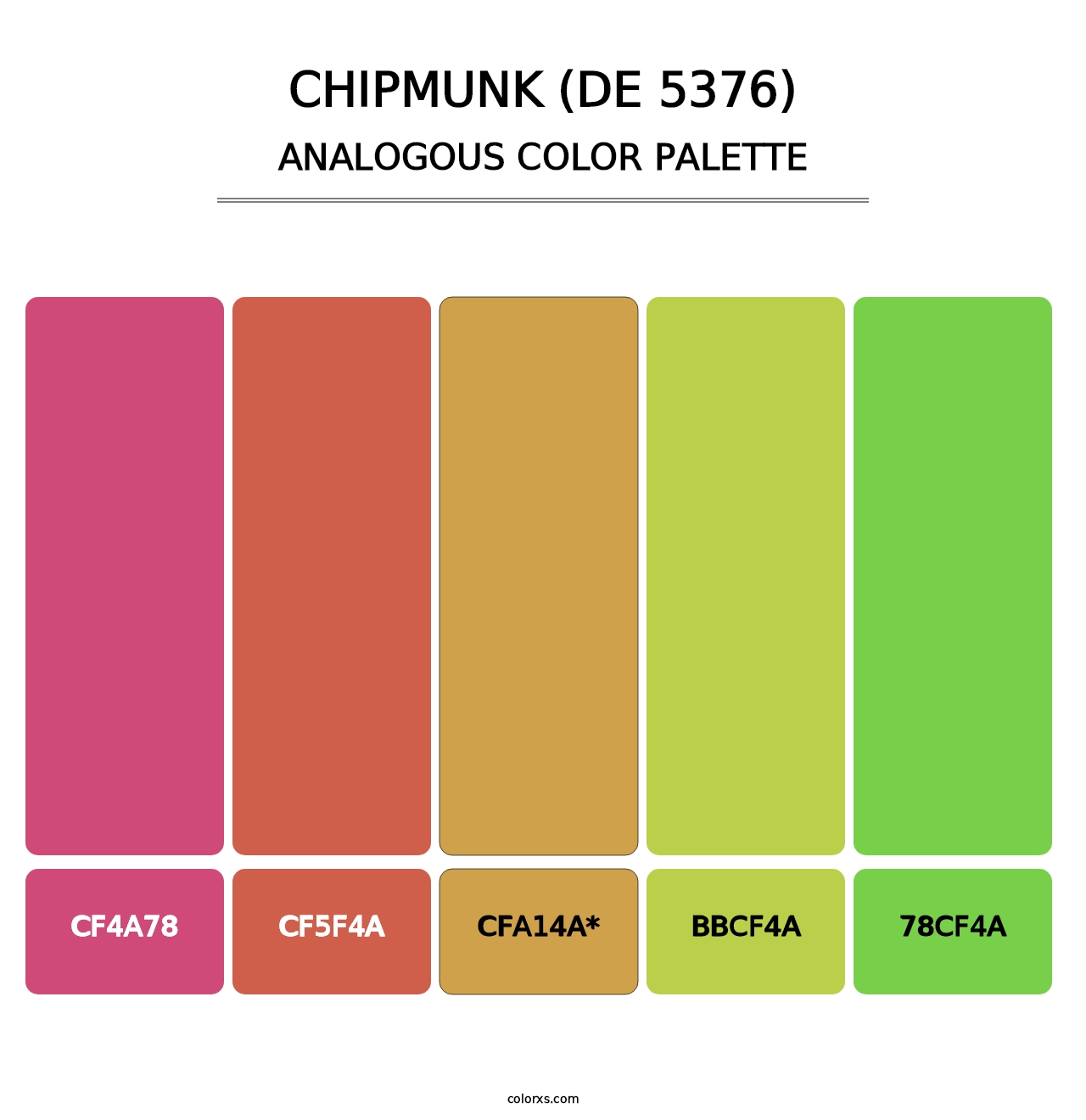 Chipmunk (DE 5376) - Analogous Color Palette