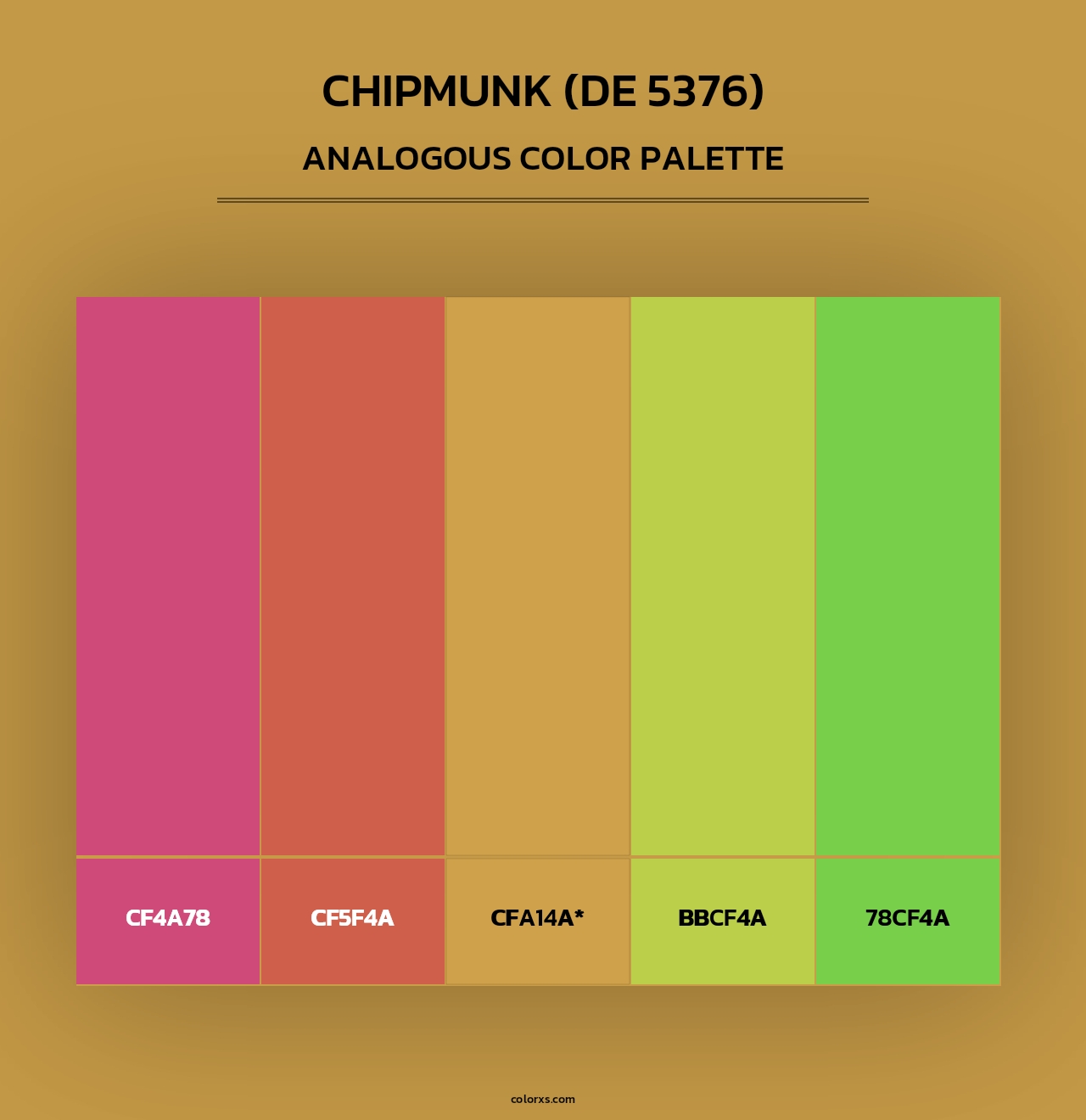 Chipmunk (DE 5376) - Analogous Color Palette