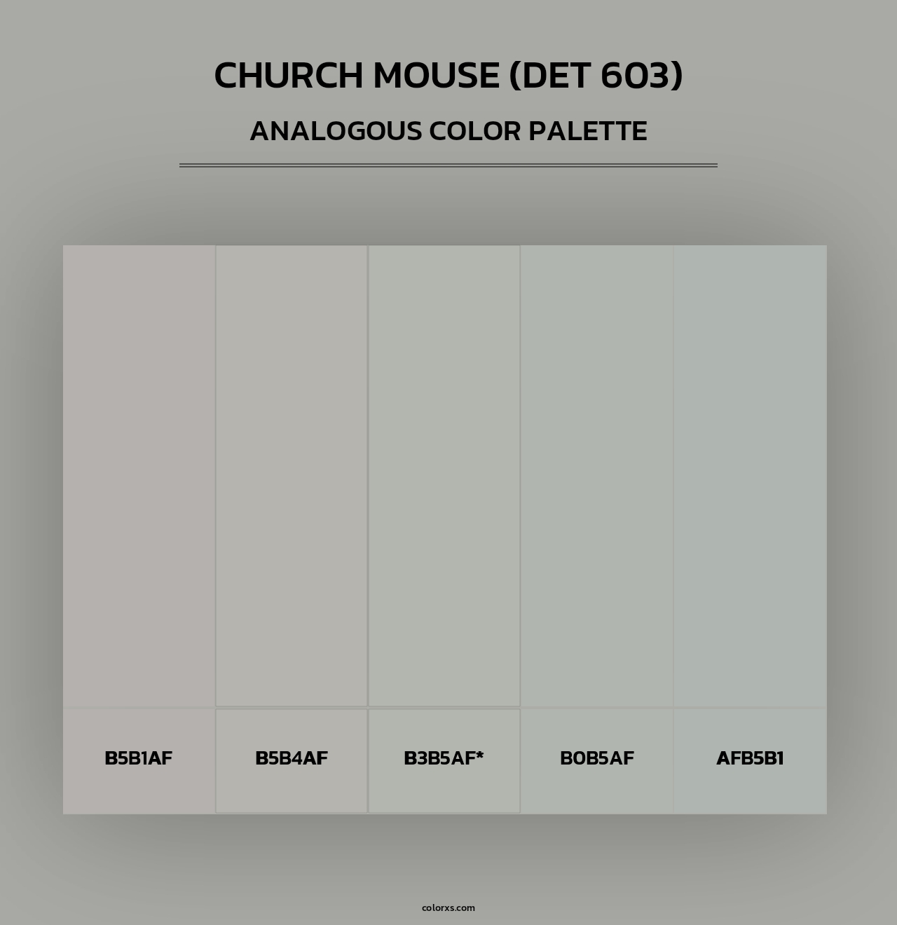 Church Mouse (DET 603) - Analogous Color Palette