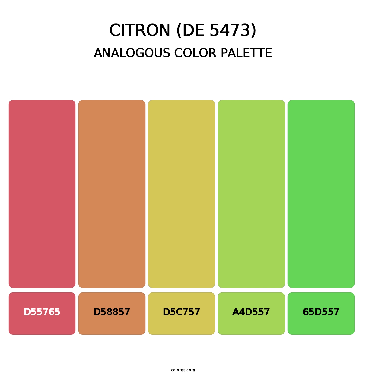 Citron (DE 5473) - Analogous Color Palette
