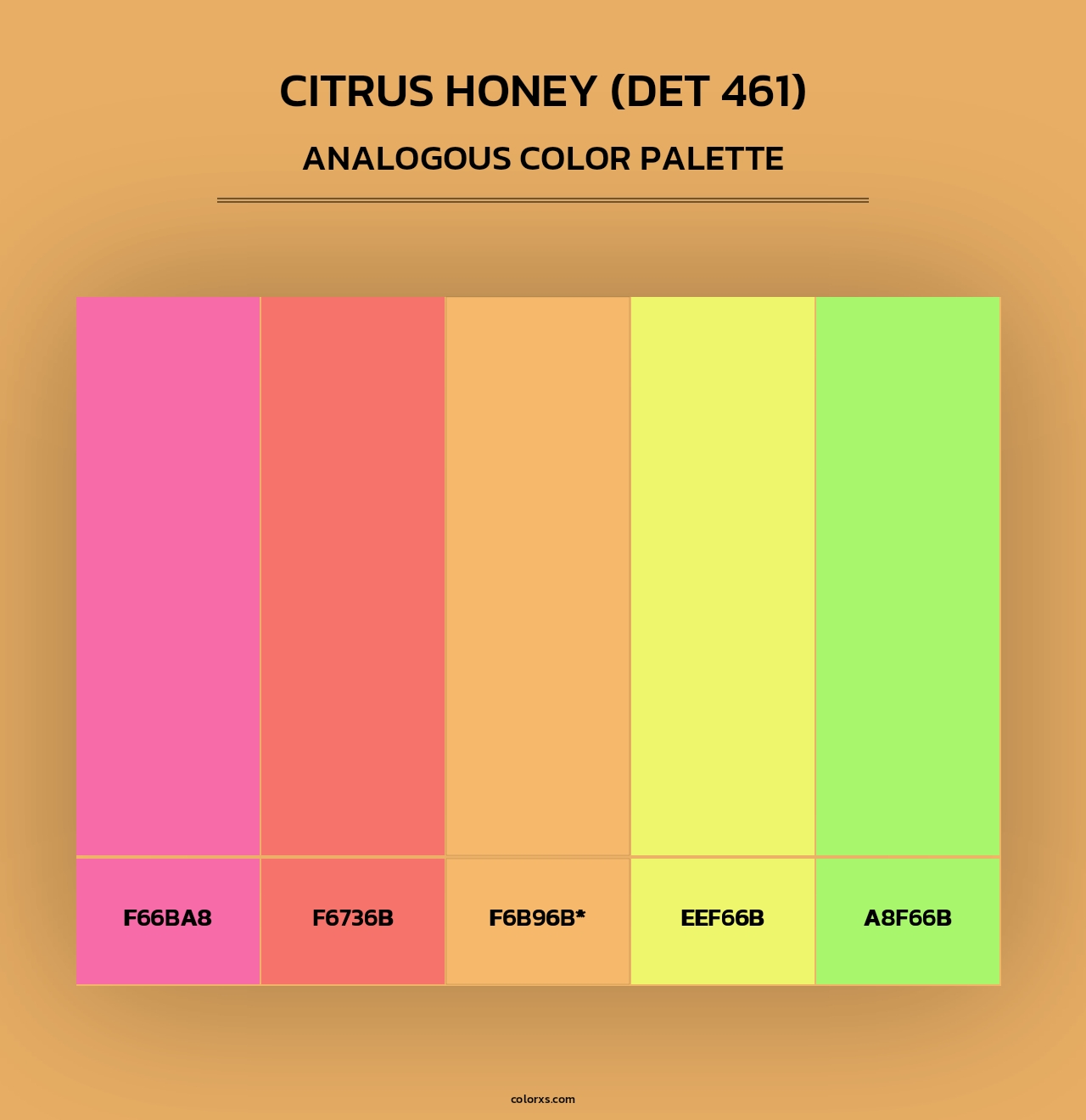 Citrus Honey (DET 461) - Analogous Color Palette