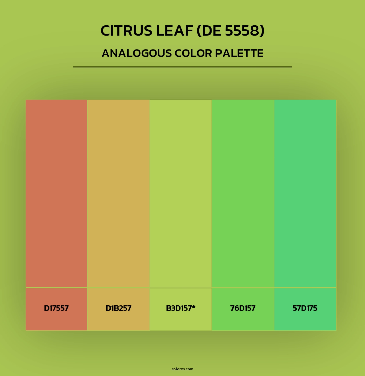 Citrus Leaf (DE 5558) - Analogous Color Palette