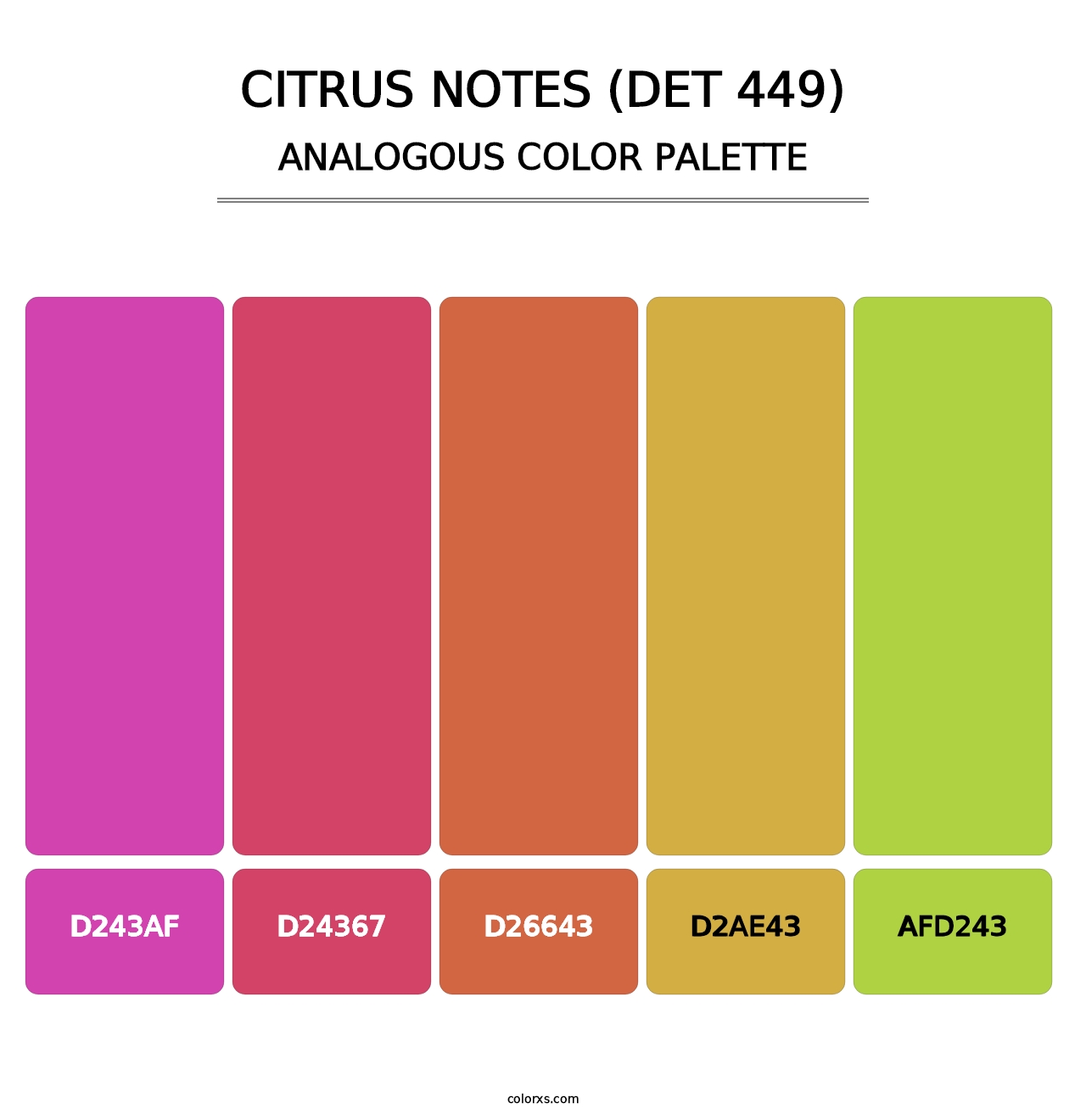 Citrus Notes (DET 449) - Analogous Color Palette