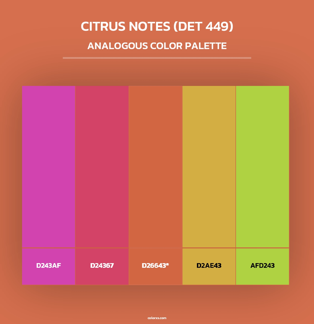 Citrus Notes (DET 449) - Analogous Color Palette