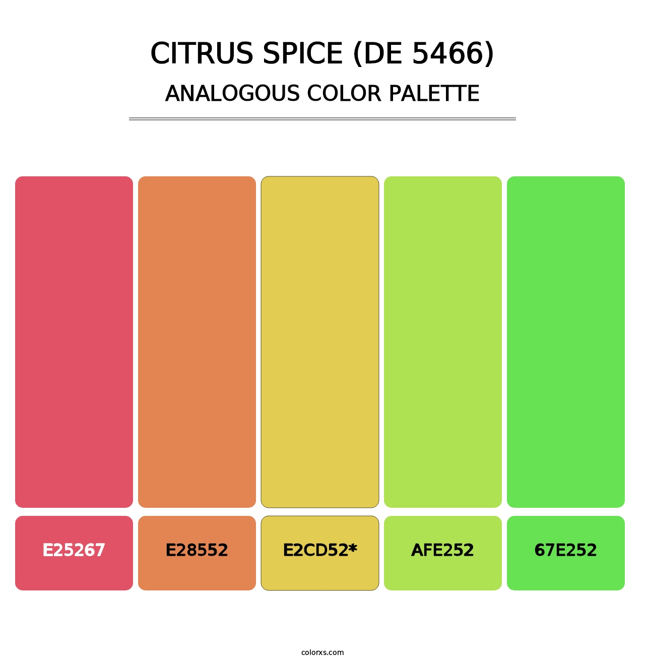 Citrus Spice (DE 5466) - Analogous Color Palette