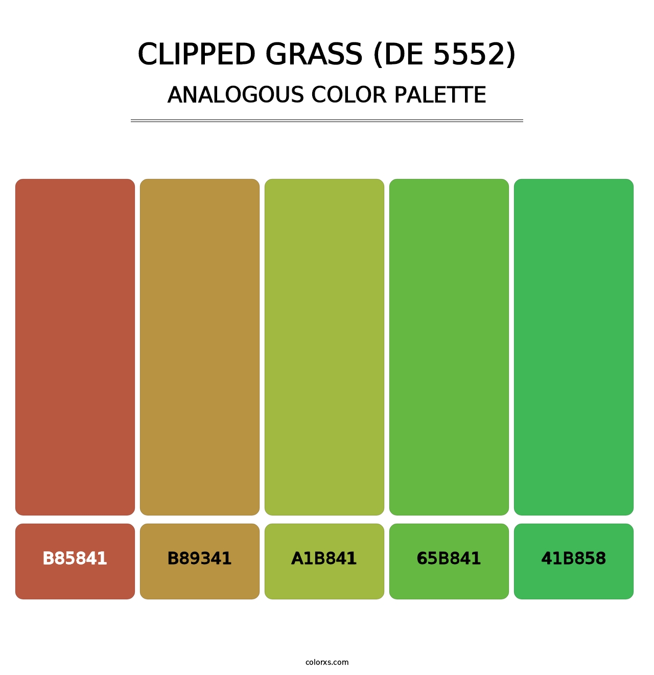 Clipped Grass (DE 5552) - Analogous Color Palette