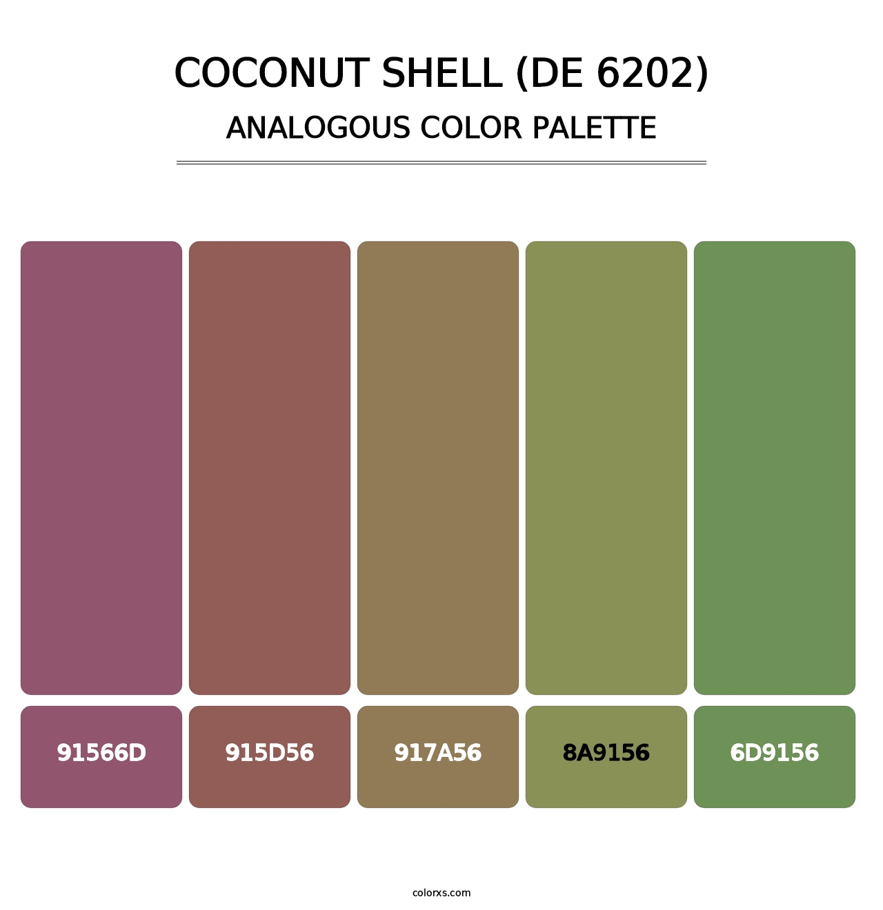 Coconut Shell (DE 6202) - Analogous Color Palette