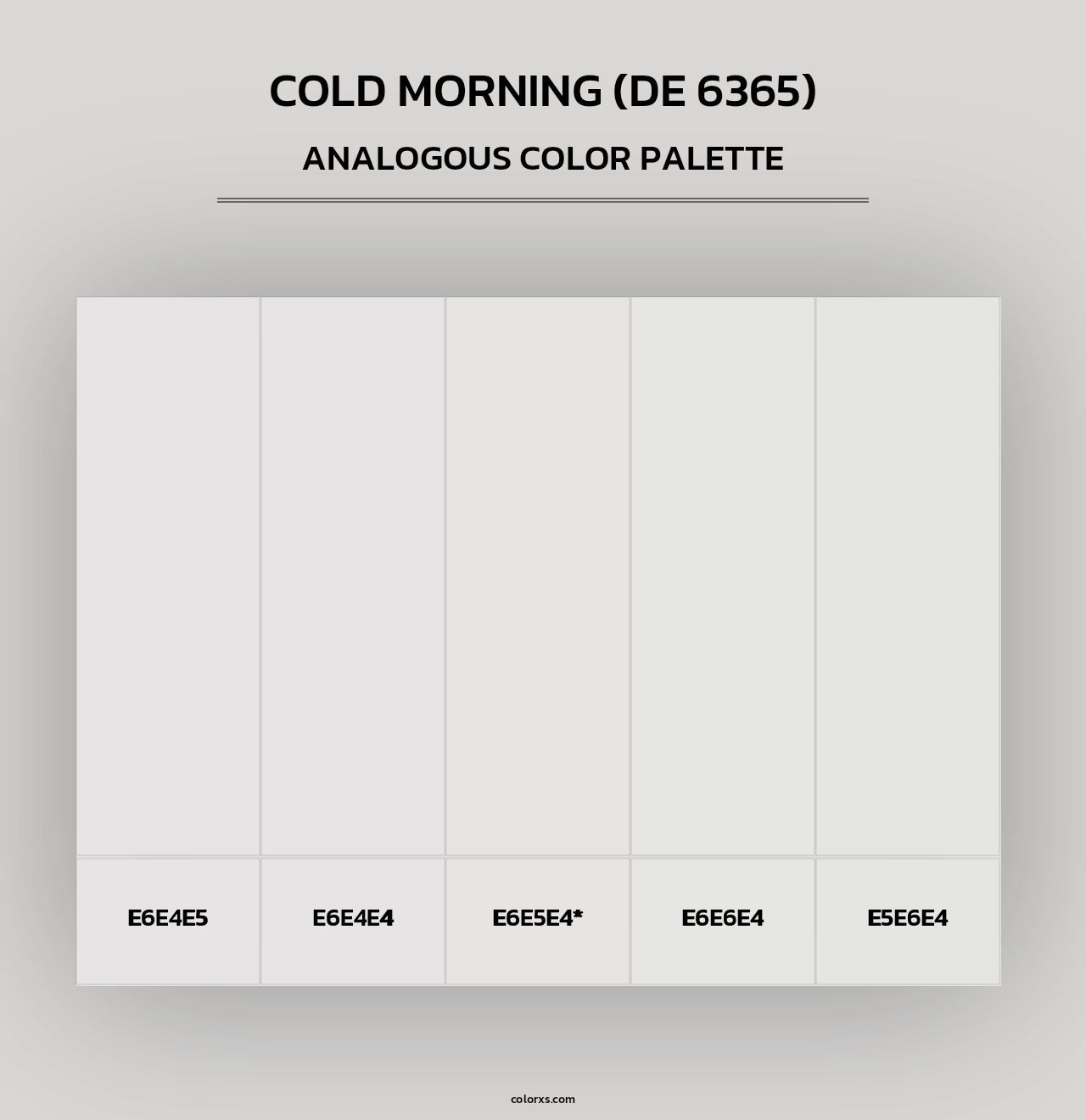 Cold Morning (DE 6365) - Analogous Color Palette
