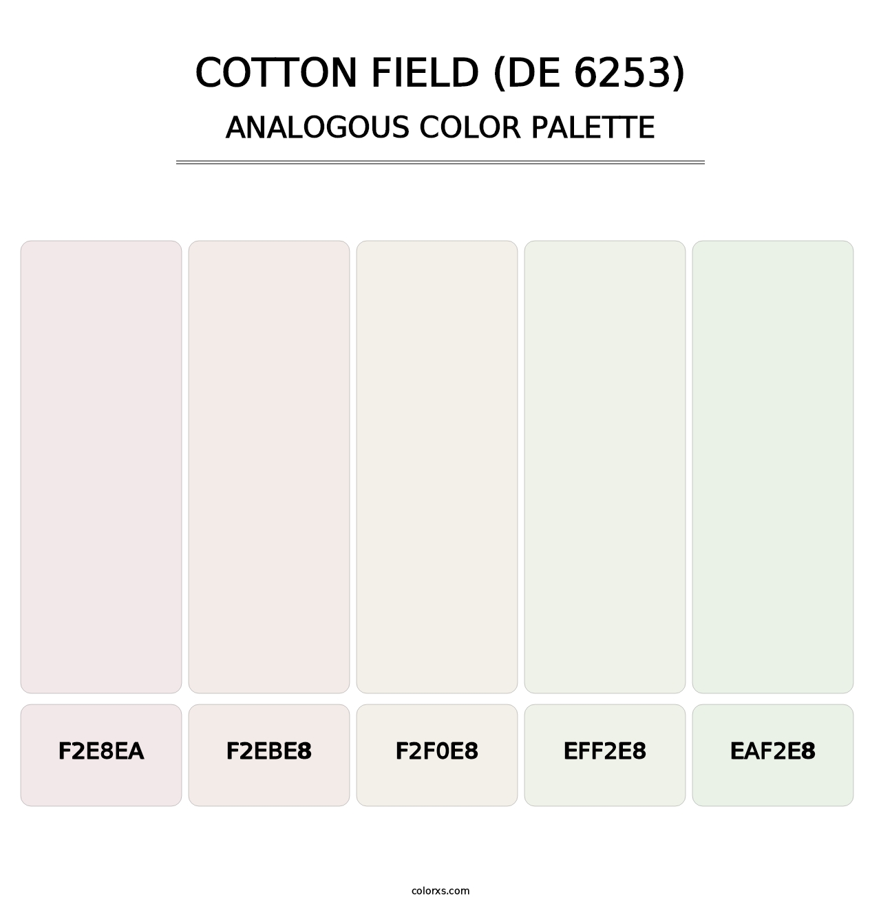 Cotton Field (DE 6253) - Analogous Color Palette