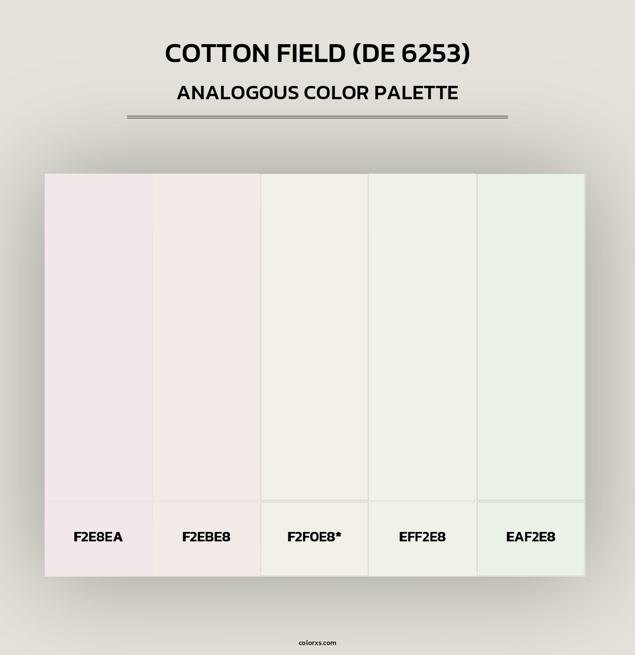 Cotton Field (DE 6253) - Analogous Color Palette