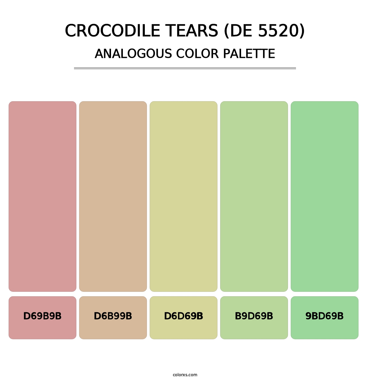 Crocodile Tears (DE 5520) - Analogous Color Palette